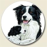 Collie Auto Coasters For Car