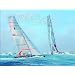 The Story of The America's Cup: 1851-2007