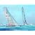 The Story of The America's Cup: 1851-2007
