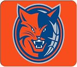 Charlotte Bobcats Mouse Pad