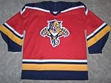 51YuJ2CnAgL. SL160  Florida Panther Hockey Jersey   Adult Medium or Large   New w/ Tag