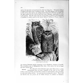 ���R�j 1895 �̃C���h�̋��̃t�N���E�̒��̋]���̈����