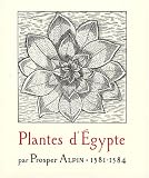 Plantes d\'Egypte : 1581-1584