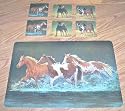 Placemat and Coaster Set for 6 Settings - Horses