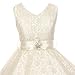 Little Girls Lace Overlay Satin Brooch Flowers Girls Dresses
