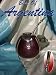 Mate Gourd; With Silver 800 Excellent Work; with Straw (