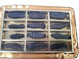 日本産天然乾燥ナマコ「金んこ」特撰