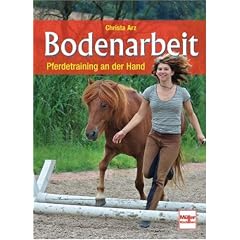 Bodenarbeit: Pferdetraining an der Hand