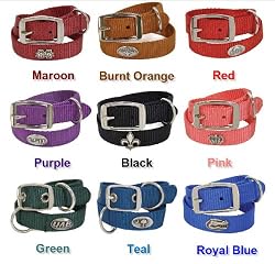 Nylon Cat Collar - Collegiate Series