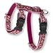 Lupine Adjustable H-Style Harness 1/2