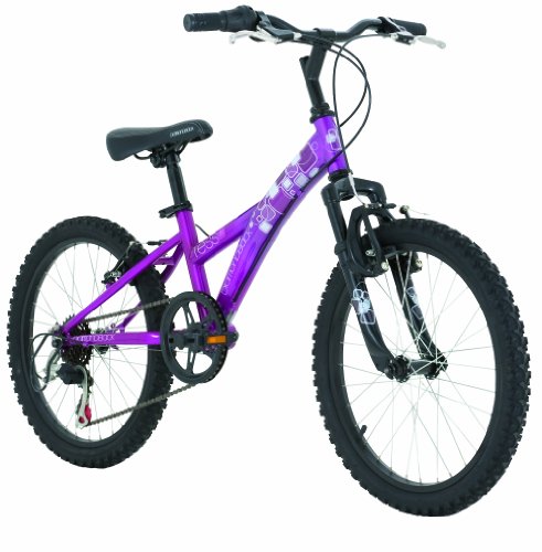 Diamondback Girls' Tess 20 Jr Mountain Bike (20-Inch Wheels)