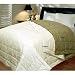 Blue Ridge Home Fashions, Inc. 240-Thread Count Cotton Down Full/Queen Blanket, Green