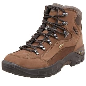 Lowa Men's Renegade GTX Mid Hiking Boot