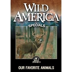 Our Favorite Animals