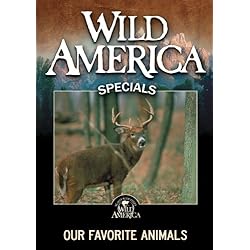 Our Favorite Animals