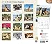 German Shepherds, For the Love of 2016 Deluxe (Multilingual Edition)