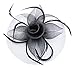 Fascinator on Hairclip for Women Mesh Feather Black