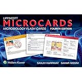 lippincott microcards microbiology flash cards