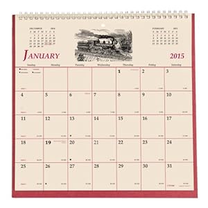 Amazon.com : Brownline 11 X 11 Inches 2015 Monthly Wall Calendar ...