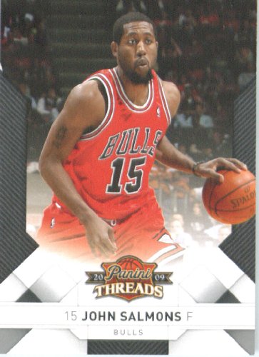 2009 /10 Panini Threads Basketball Card # 55 John Salmons Chicago Bulls Mint Condition - Shipped In Protective ScrewDown Display Case!