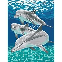 Dimensions Paint By Number Kit (9 X 12) - in your choice of designs