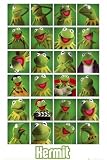 The Muppets - TV Show Poster (24 Images Of Kermit) (Size: 24