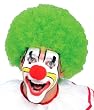 Adult Green Clown Wig