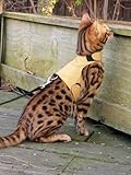 Mynwood Cat Jacket/Harness Caramel Adult Cat - Escape Proof
