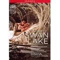 Tchaikovsky : Swan Lake