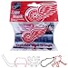 Detroit Red Wings - Icons Logo Bandz