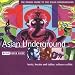 The Rough Guide to the Asian Underground