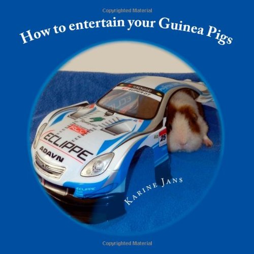 how to entertain your guinea pigs