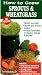 How to Grow Sprouts & Wheatgrass