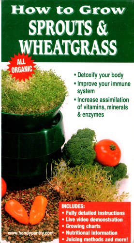 How to Grow Sprouts & Wheatgrass