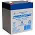 Powersonic PS-1250F2 - 12 Volt/5 Amp Hour Sealed Lead Acid Battery with 0.250 Fast-on Connector