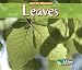 Book Leaves (Spot the Difference)