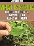 What is Stevia? - Benefits, Side Effects, Growing Stevia, Recipes with Stevia