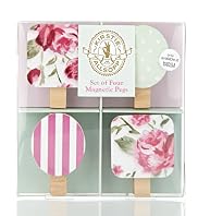 4 Kirstie Allsopp Magnetic Pegs