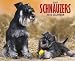 schnauzer0 - Just Schnauzers 2010 Calendar