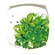 Floral Splash Ceramic Square Dessert Plates - Set of 4