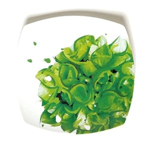 Floral Splash Ceramic Square Dessert Plates - Set of 4
