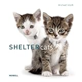 Shelter Cats
