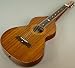 NEW GOLD TONE HAWAIIAN WEISSENBORN STEEL 6-STRING ACOUSTIC LAP DOBRO GUITAR image 8