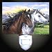 Wild Horses Decorative Night Light