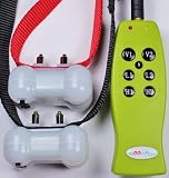 New Gen Groovypets Rechargeable Remote Control Training Shock Collar with Separate Shock and Vibration Corrections for 2 Small,Medium, and Large Dogs-ONLY from Groovypets!