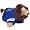 Detroit Lions
