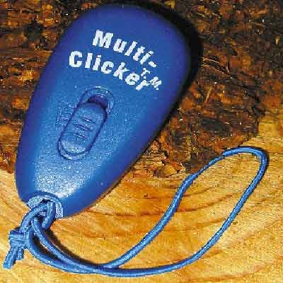 Multi - Clicker