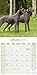 Great Dane (US) Calendar - Only Dog Breed Great Dane (US) Calendar - 2016 Wall calendars - Dog Calendars - Monthly Wall Calendar by Avonside