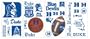 RoomMates RMK1057SCS Duke University Peel & Stick Wall Decals