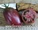 Tomatensorte => Purple Russian (Samen)